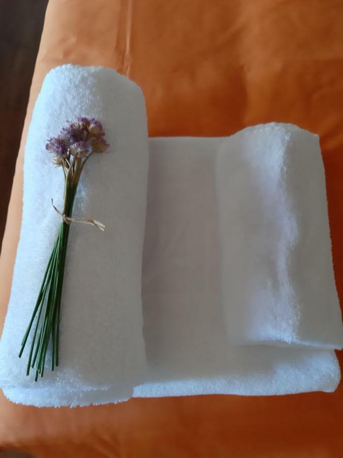 Hostel Criativo Do Sabugueiro ซาบูเกย์โร ภายนอก รูปภาพ
